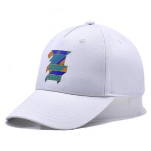 Oem Custom Logo White Baseball Caps Wholesale Adjustable Embroidery Curved Fitted Unisex Sports Cap Hats